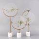 Bamboo Table Display
