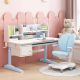 DongShen Full of Playful Children Study Desk