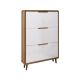 LEJU X505 Shoe Cabinet