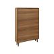 LEJU X503 Shoe Cabinet