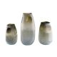 Anhua Modern Simple Glass Vase Flower Arrangement Dried Flower Vase Decoration Creative Ornament DCAC20007AH (Medium)