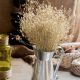 Dried Baby's Breath Bunch