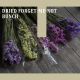 Dried Forget-Me-Not Bunch