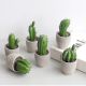 Nordic Cactus Home Decor