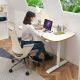 Height Adjustable Sit Stand Desk Curved