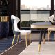 Olan Dining Chair (2 PCS)