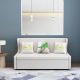 Minimalist Modern Luxe Sofa Bed with Storage