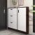 LEJU Inclined Rack Glossy White Surface Shoe Cabinet