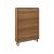 LEJU X503 Shoe Cabinet