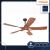 MÖWE Smart Ceiling Fan MW600F