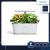 ONEMI Smart Planter