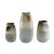 Anhua Modern Simple Glass Vase Flower Arrangement Dried Flower Vase Decoration Creative Ornament DCAC20007AH (Medium)