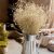 Dried Baby's Breath Bunch