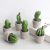 Nordic Cactus Home Decor