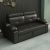 Modern Pull-Out Sofa Bed
