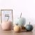 Noah Apple Ceramic Figurine