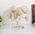Parscal Table Décor