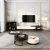 Modern Minimalist TV Console and MultiFunction Coffee Table Living Room Set