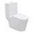 Hybrid One Piece Water Closet