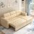Modern Sofa Bed with Storage