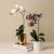 Artificial Phalaenopsis Potted Plant Decor
