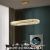 Modern Classic LED Oval Hanging Pendant Light