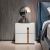 WoZaiJia Ricco Gauss Bedside Table