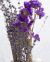 Dried Lavender Bunch