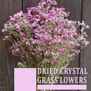Dried Crystal Grass Flowers